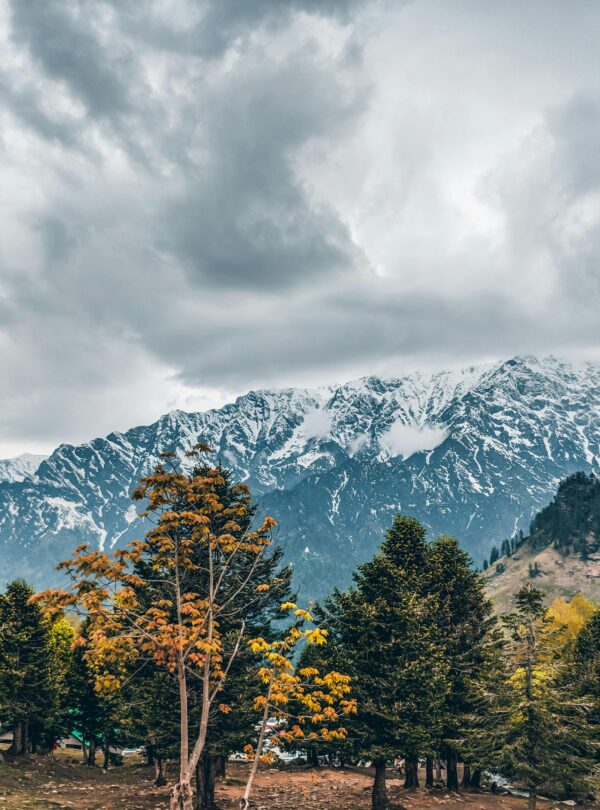 pexels-aprakarsh-2412436